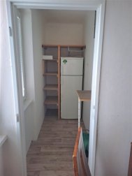 spíž